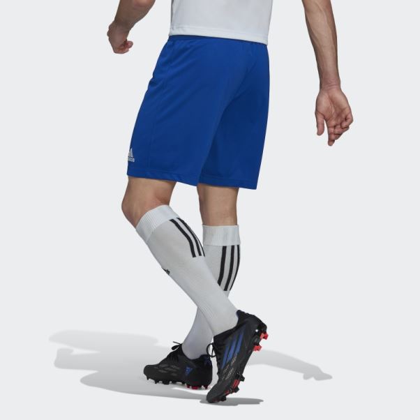 Entrada 22 Short Adidas Bleu Royal