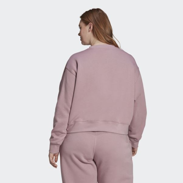 Sweat Adicolor Essentials Crew (taille Plus) Mauve Adidas