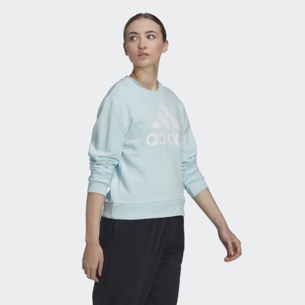 Sweat Ample Adidas Essentials Logo Bleu