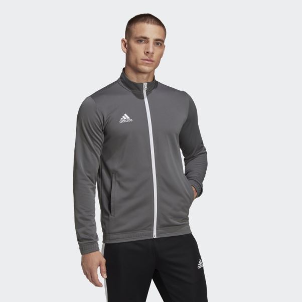 Adidas Entrada 22 Track Top Gris