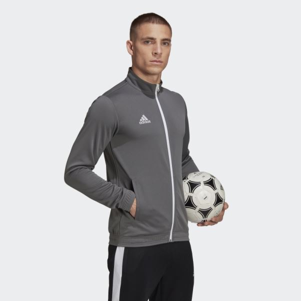 Adidas Entrada 22 Track Top Gris