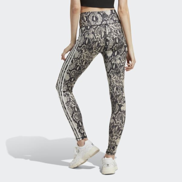 Adidas Leggings Mode Multicolore