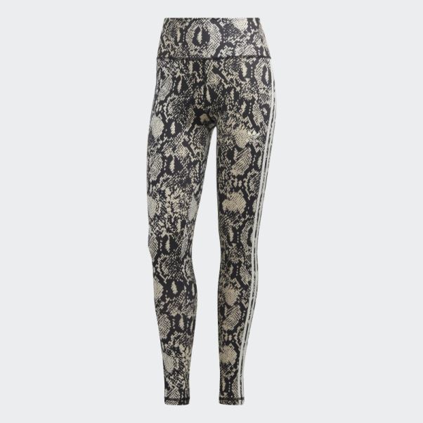 Adidas Leggings Mode Multicolore