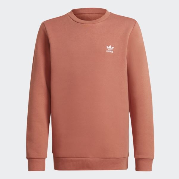 Sweat Adidas Adicolor Crew Terre