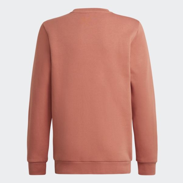 Sweat Adidas Adicolor Crew Terre
