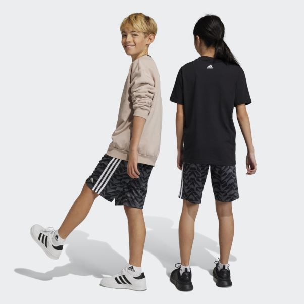 Short De Football Célébration Adidas Gris