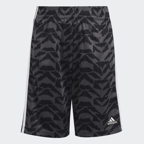Short De Football Célébration Adidas Gris