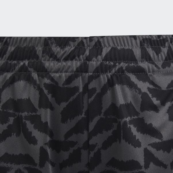 Short De Football Célébration Adidas Gris