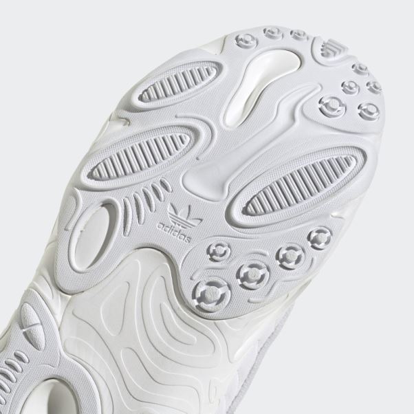 Adidas Oznova Blanche