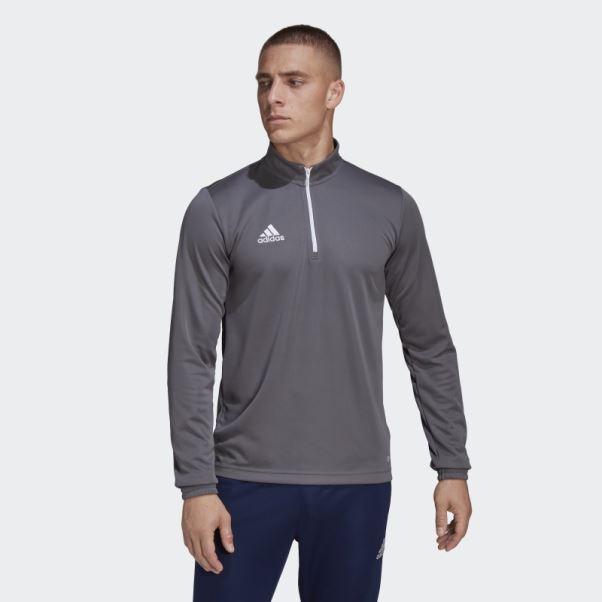 Adidas Entrada 22 Training Top Gris