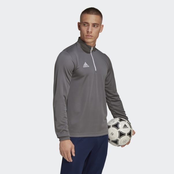 Adidas Entrada 22 Training Top Gris