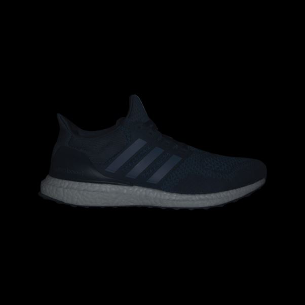 Adidas Ultraboost 1.0 Bleu Marine