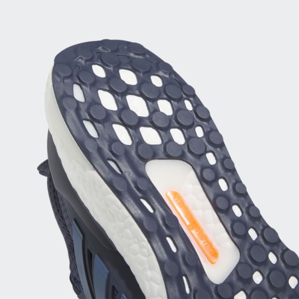 Adidas Ultraboost 1.0 Bleu Marine