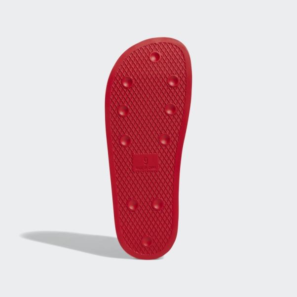Shmoofoil Glisse écarlate Adidas