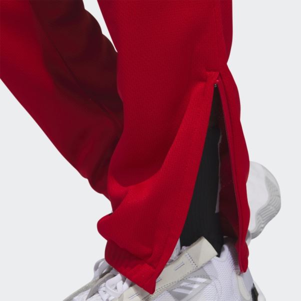 Sélectionner Un Pantalon écarlate Adidas