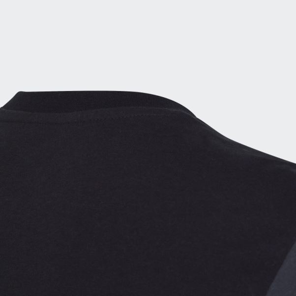 Adidas Adicolor T-shirt Carbone