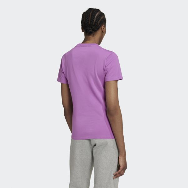 Tee Shirt Adicolor Classics Trefoil Lilas Adidas