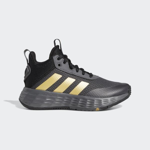 Chaussures Adidas Ownthegame 2.0 Grises