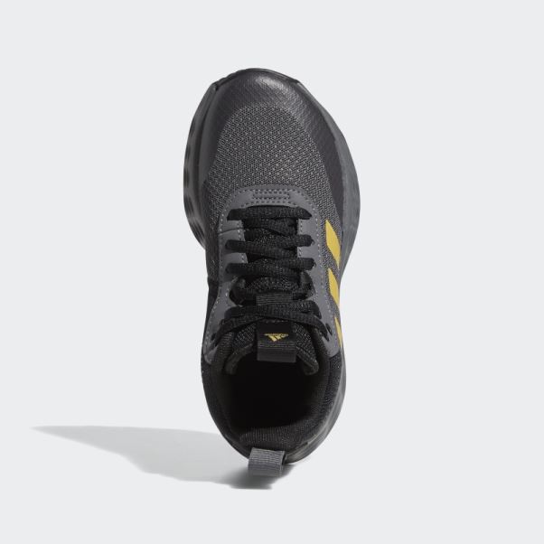 Chaussures Adidas Ownthegame 2.0 Grises