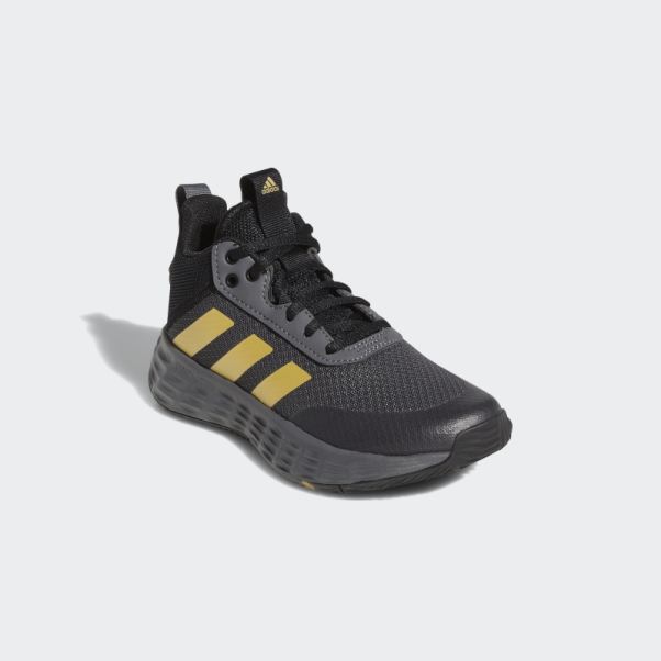 Chaussures Adidas Ownthegame 2.0 Grises