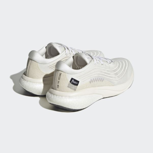 Adidas Supernova 2.0 X Parley Chaussures Blanc