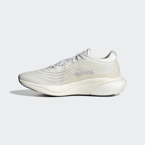 Adidas Supernova 2.0 X Parley Chaussures Blanc