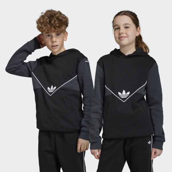 Sweat à Capuche Adicolor Noir Adidas