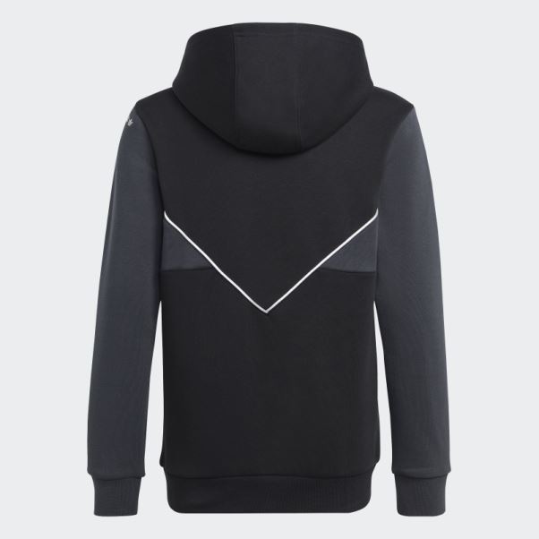 Sweat à Capuche Adicolor Noir Adidas