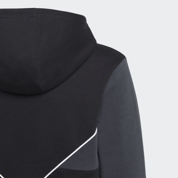 Sweat à Capuche Adicolor Noir Adidas