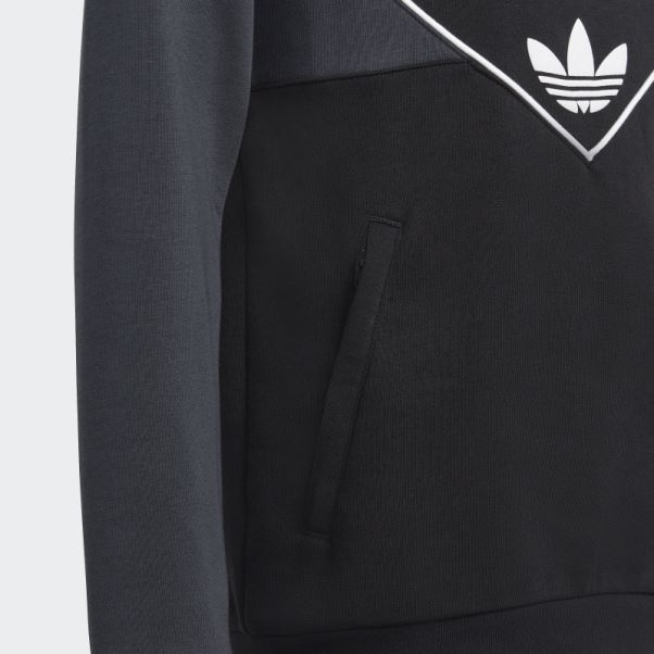 Sweat à Capuche Adicolor Noir Adidas