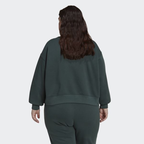 Sweat Adidas Adicolor Essentials Crew Vert Minéral (taille Plus)