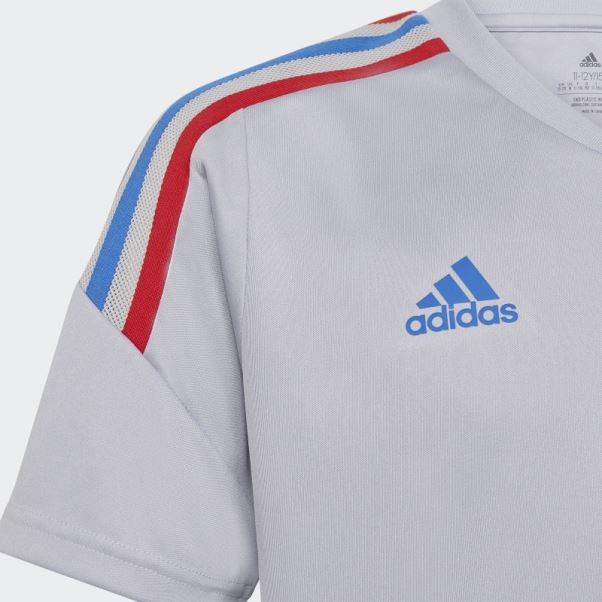 Maillot D'entrainement Lyonnais Condivo 22 Argent Adidas Olympique Hot
