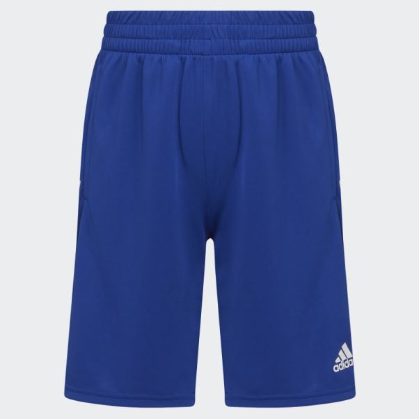 Y Bold 3s Short 22 Adidas Bleu Royal