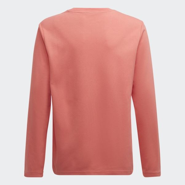 Sweat Adidas Arkd3 Crew Turbo