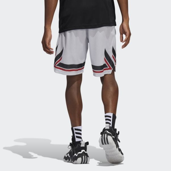 Short Adidas Swingman Cardinaux Gris Clair