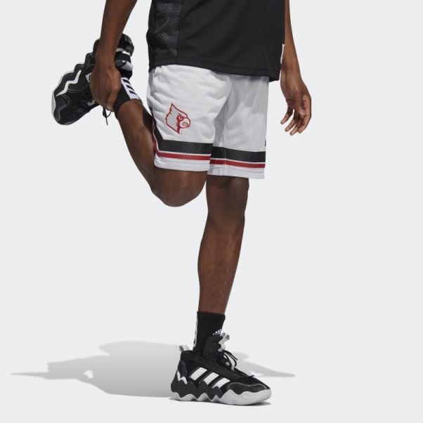 Short Adidas Swingman Cardinaux Gris Clair