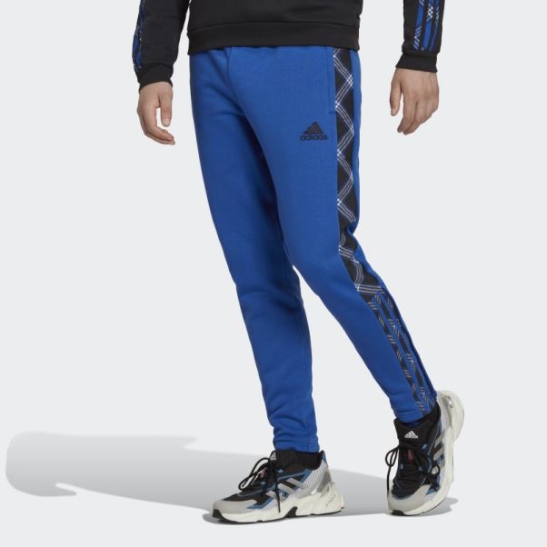 Adidas Pantalon De Survêtement Hivernal Tiro Bleu Royal