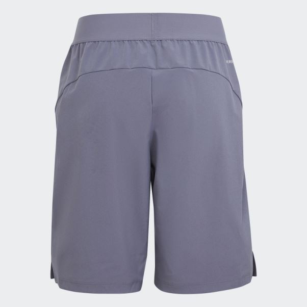 Adidas Train Icons Aeroready Logo Tissé Short Argent Violet