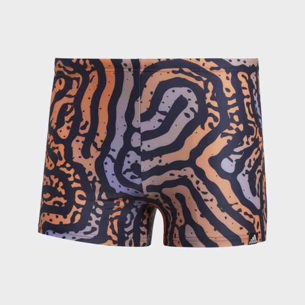 Adidas Boxer De Bain Labyrinthe De Couleur D'encre