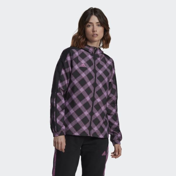 Coupe-vent Adidas Tiro Hiver Lilas
