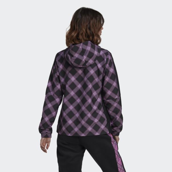 Coupe-vent Adidas Tiro Hiver Lilas