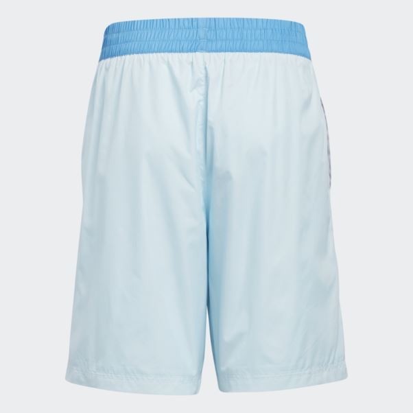Big Kids Trae Young Short Adidas Bleu