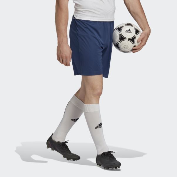 Adidas Entrada 22 Short Bleu Marine élégant