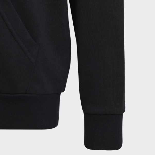 Sweat à Capuche En Coton Adidas Gros Logo Essentials Noir