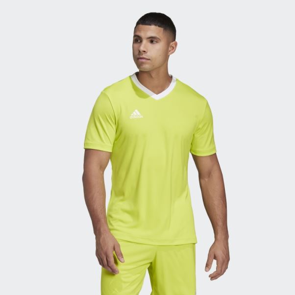Maillot Sol Jaune Entrada 22 Adidas