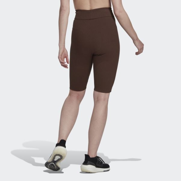 Adidas Studio Lounge Marron Short Côtelé Fashion