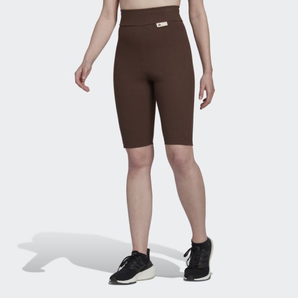 Adidas Studio Lounge Short Côtelé Marron