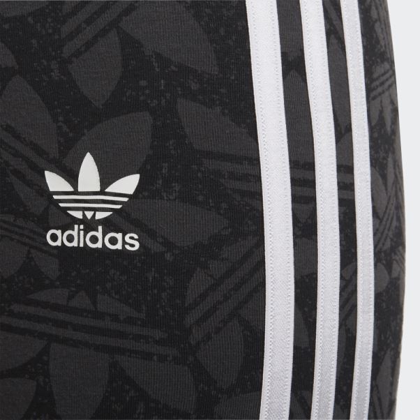 Short Cycliste Taille Haute Adidas Carbone