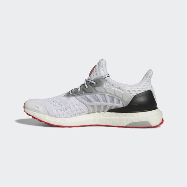 Adidas Ultraboost Climacool 2 Dna Blanc