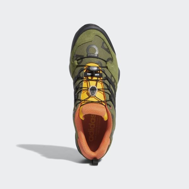 Adidas Pine Pop Swift R2 Gtx Chaussures